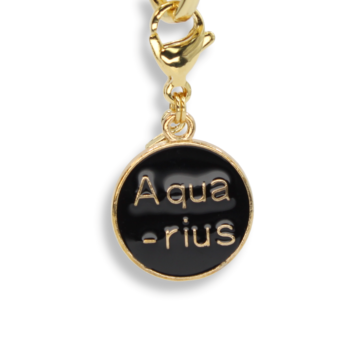 Aquarius Coin Charm