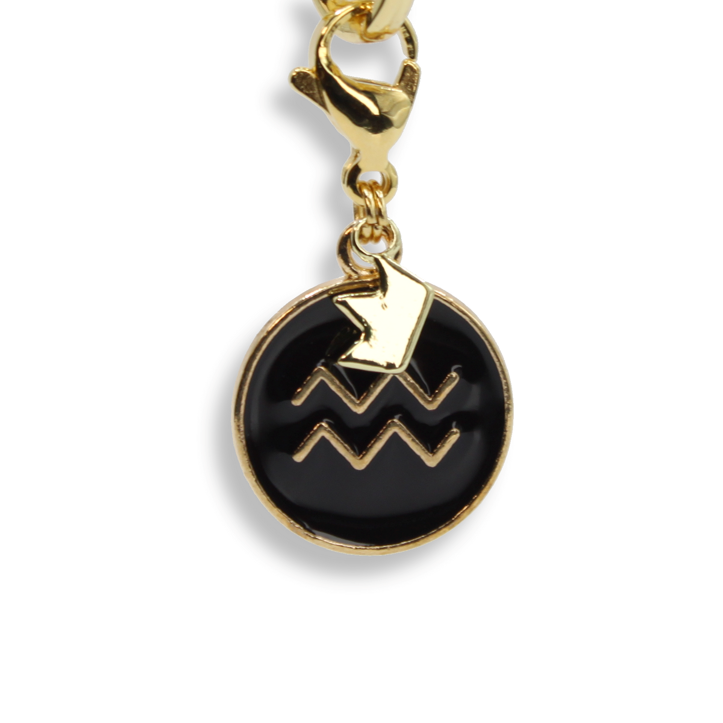 Aquarius Coin Charm