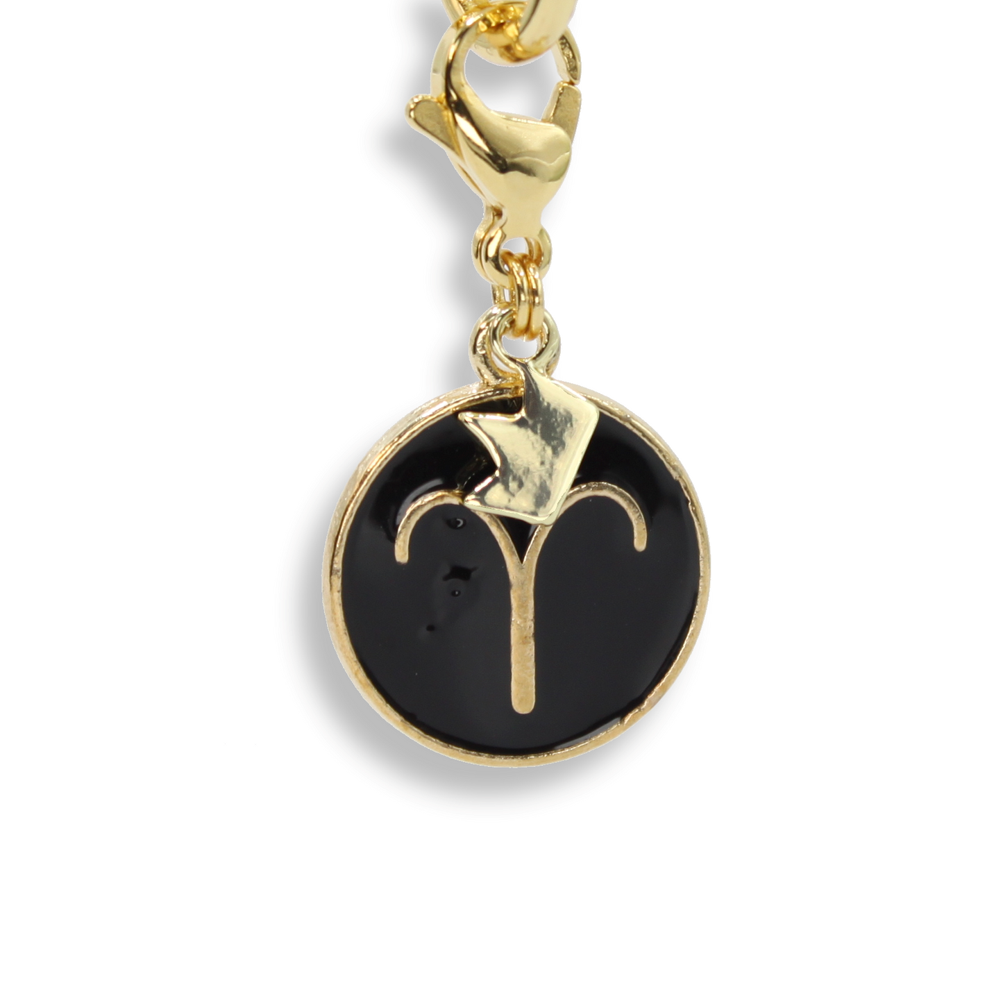 Aries Coin Charm