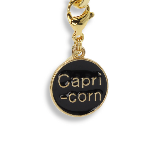 Capricorn Coin Charm