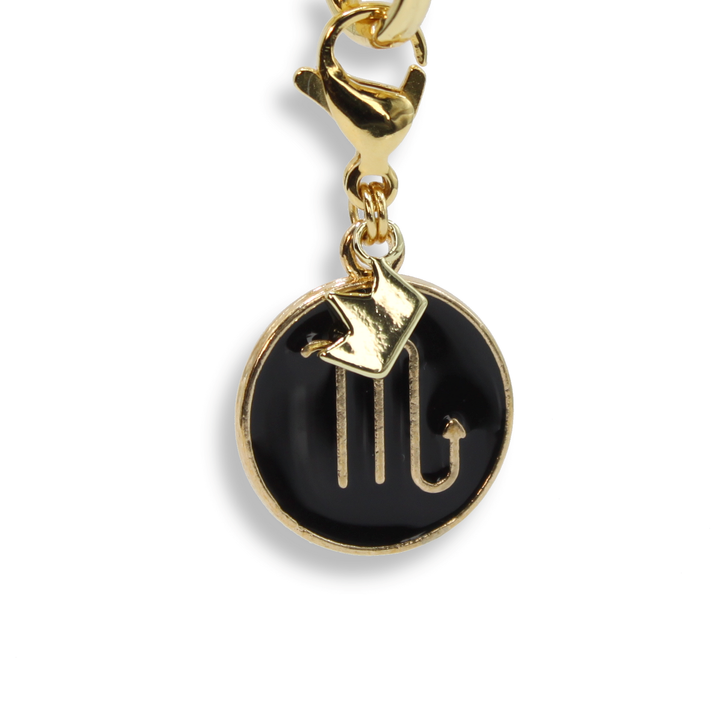 Scorpio Coin Charm