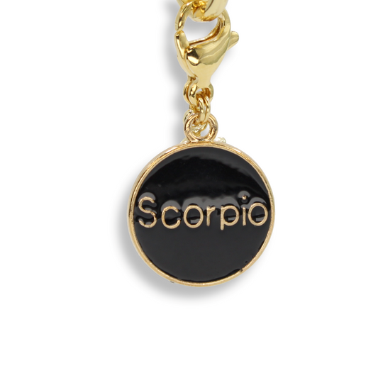 Scorpio Coin Charm