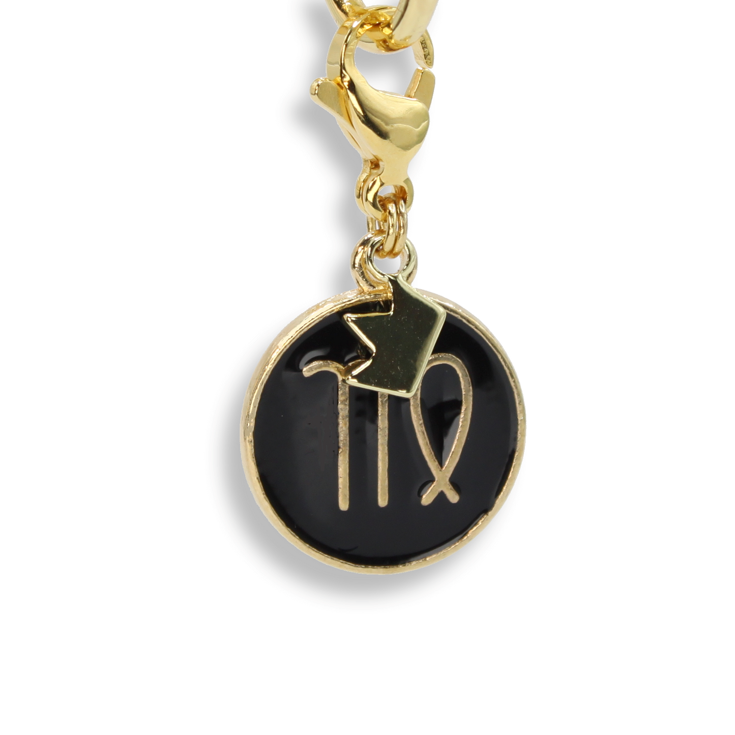 Virgo Coin Charm