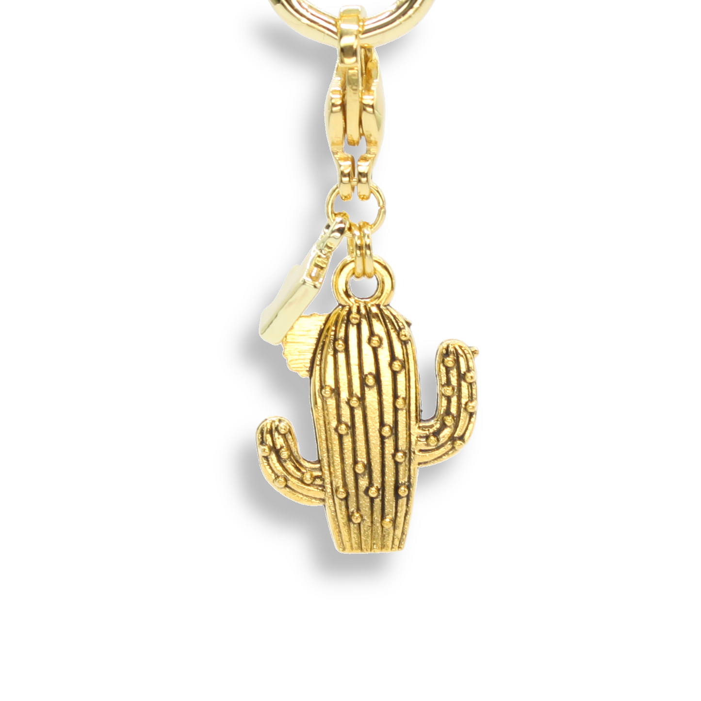 Cactus Charm