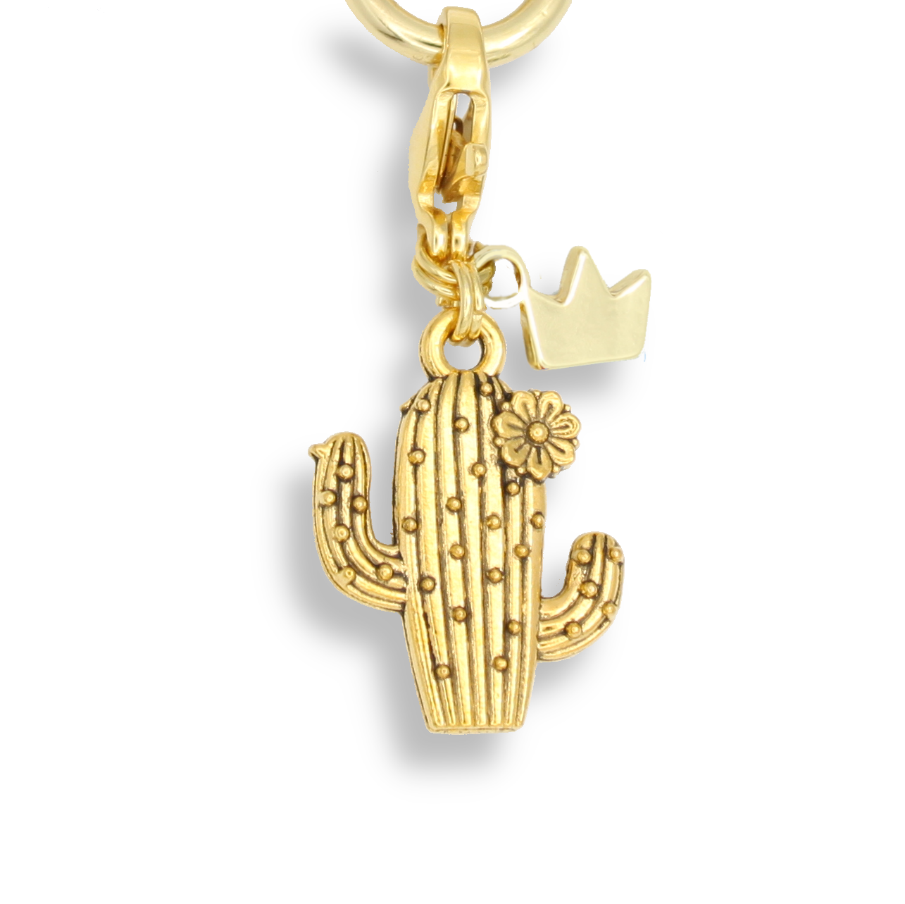 Cactus Charm